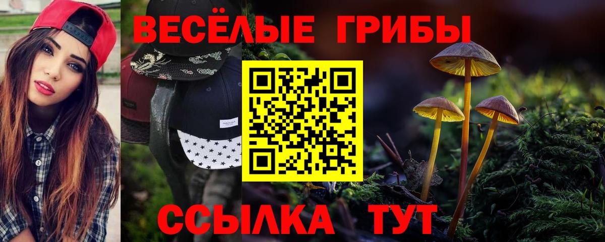 наркота  Галлюциногенные грибы мицелий  Вход с VPN  Гусь-Хрустальный  Галлюциногенные грибы мицелий 