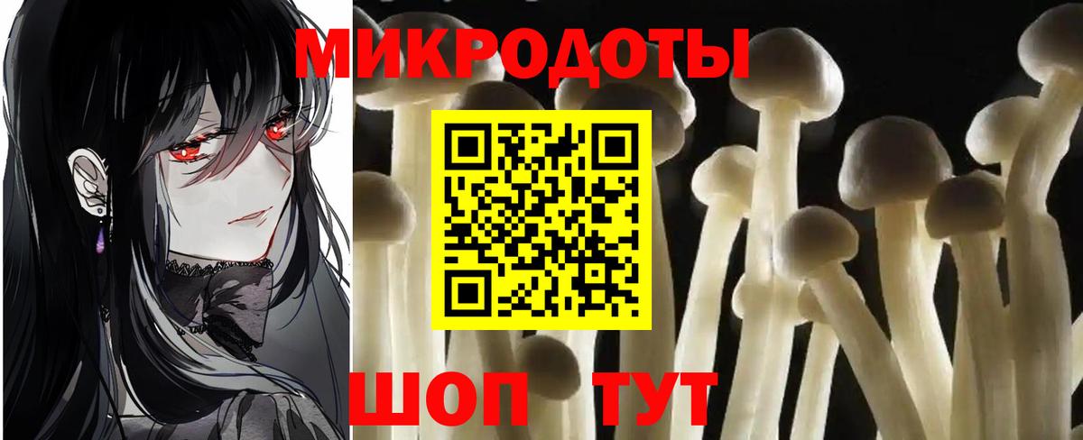Псилоцибиновые грибы мицелий Гусь-Хрустальный